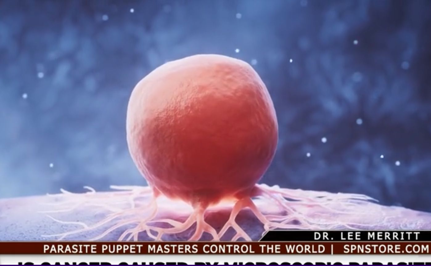 Bio-Engineered Parasites – THE REVOLUTION OF TRUTH